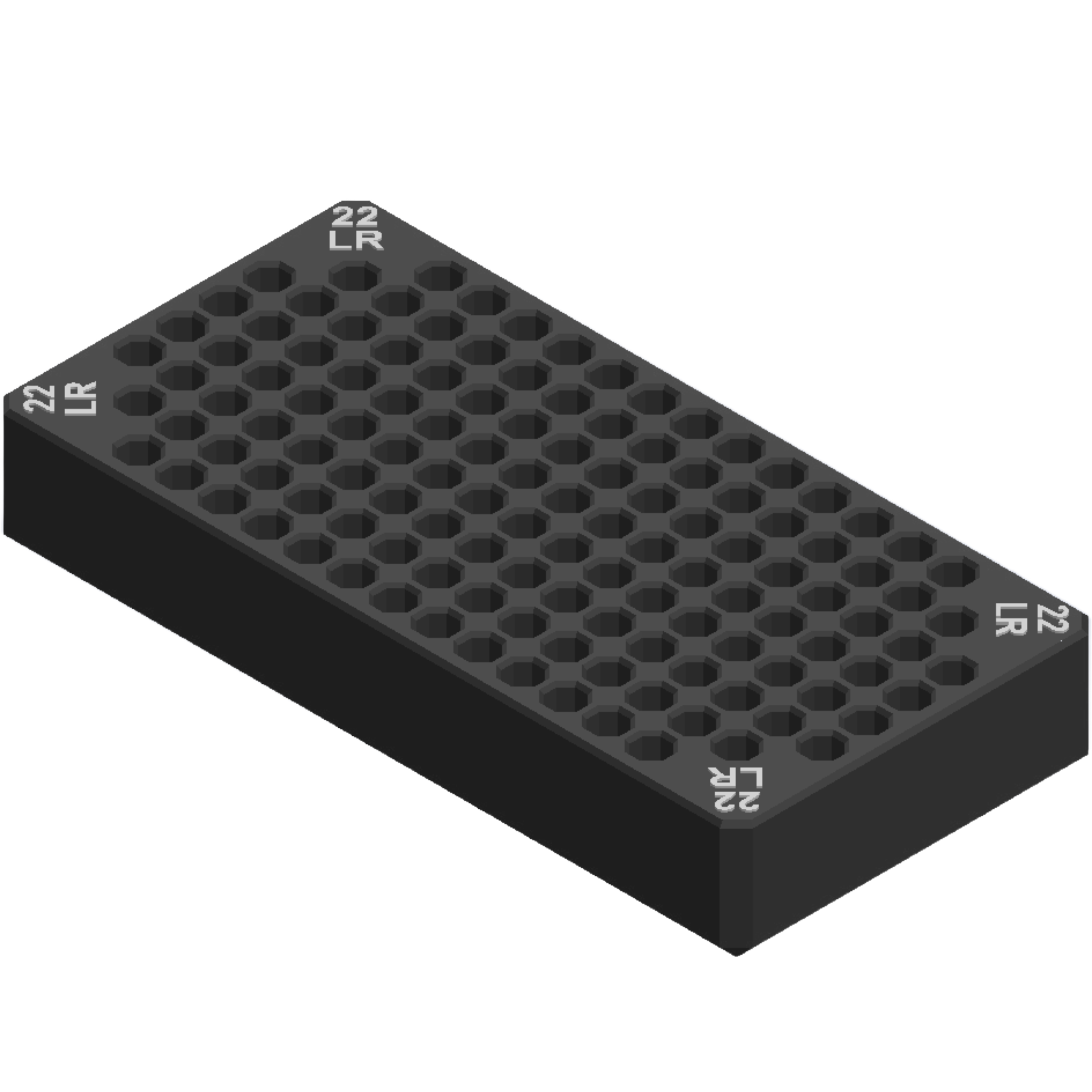 Dewalt tough case 22 LR ammo insert.