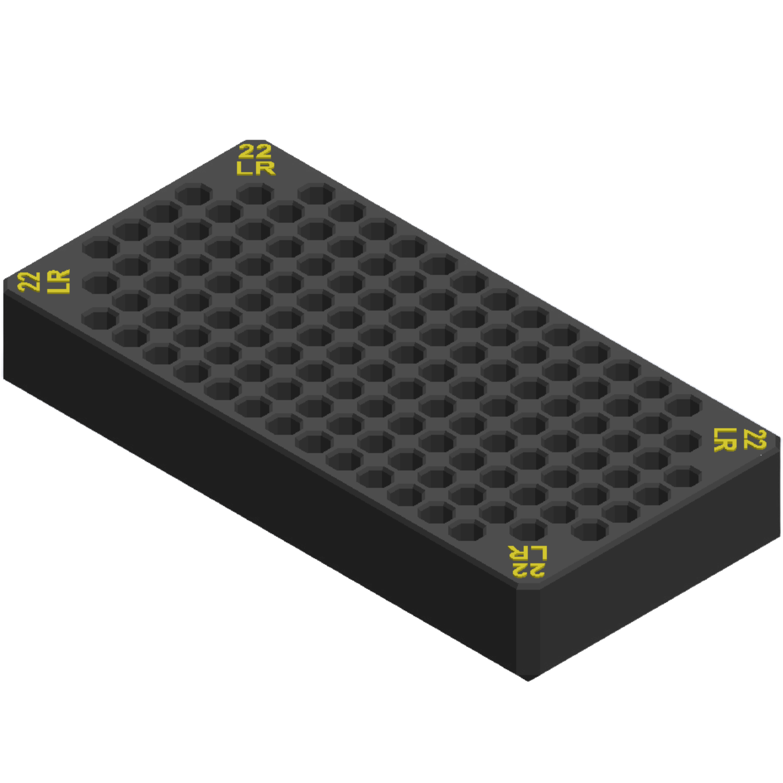 Dewalt tough case 22LR ammo insert.