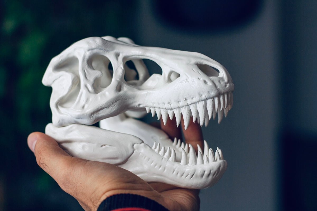 How to Choose the Right 3D Printer for Your Needs - WM Prints LLC