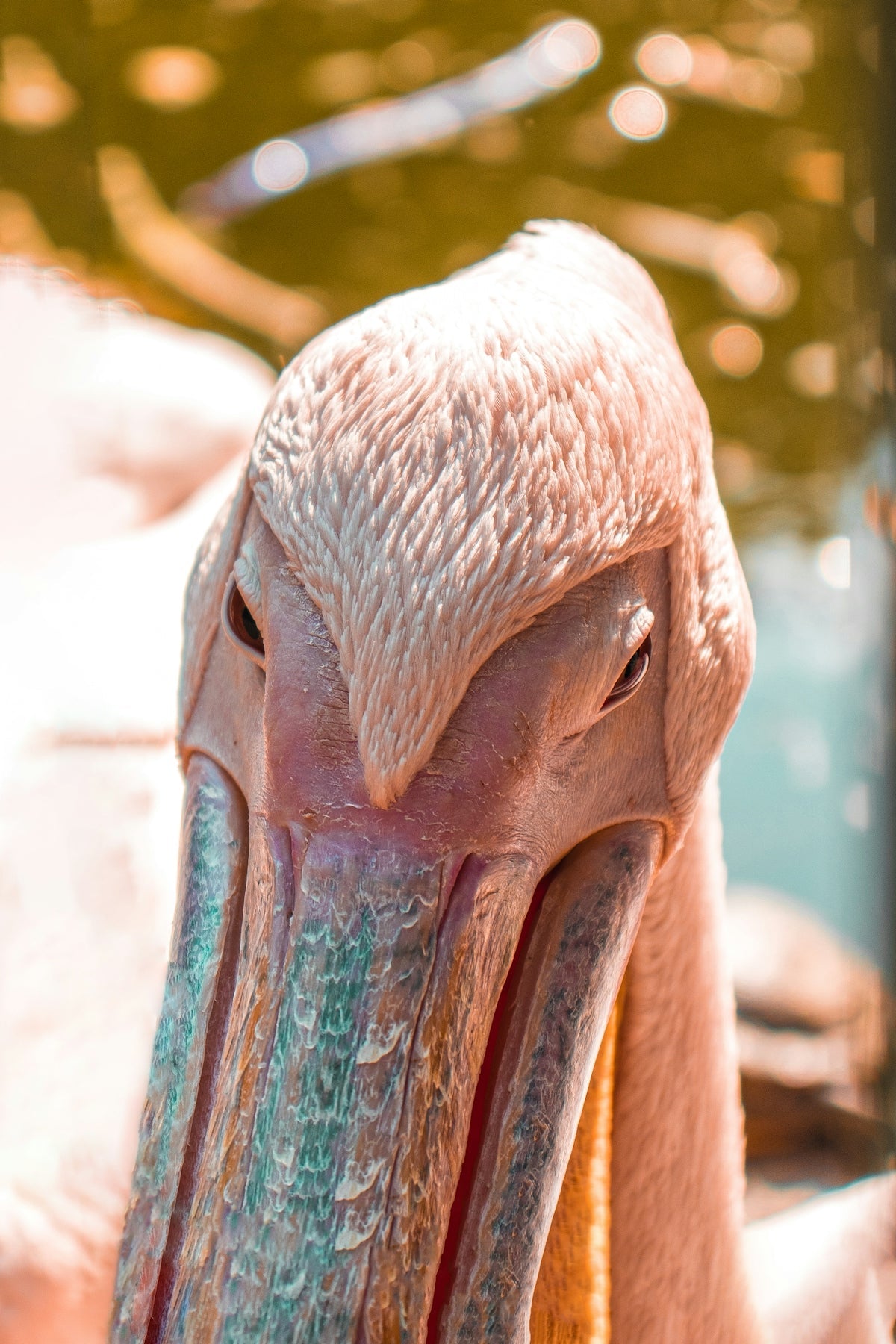 Protecting Your Valuables The Dependability of the Pelican V200 Vault - WM Prints LLC