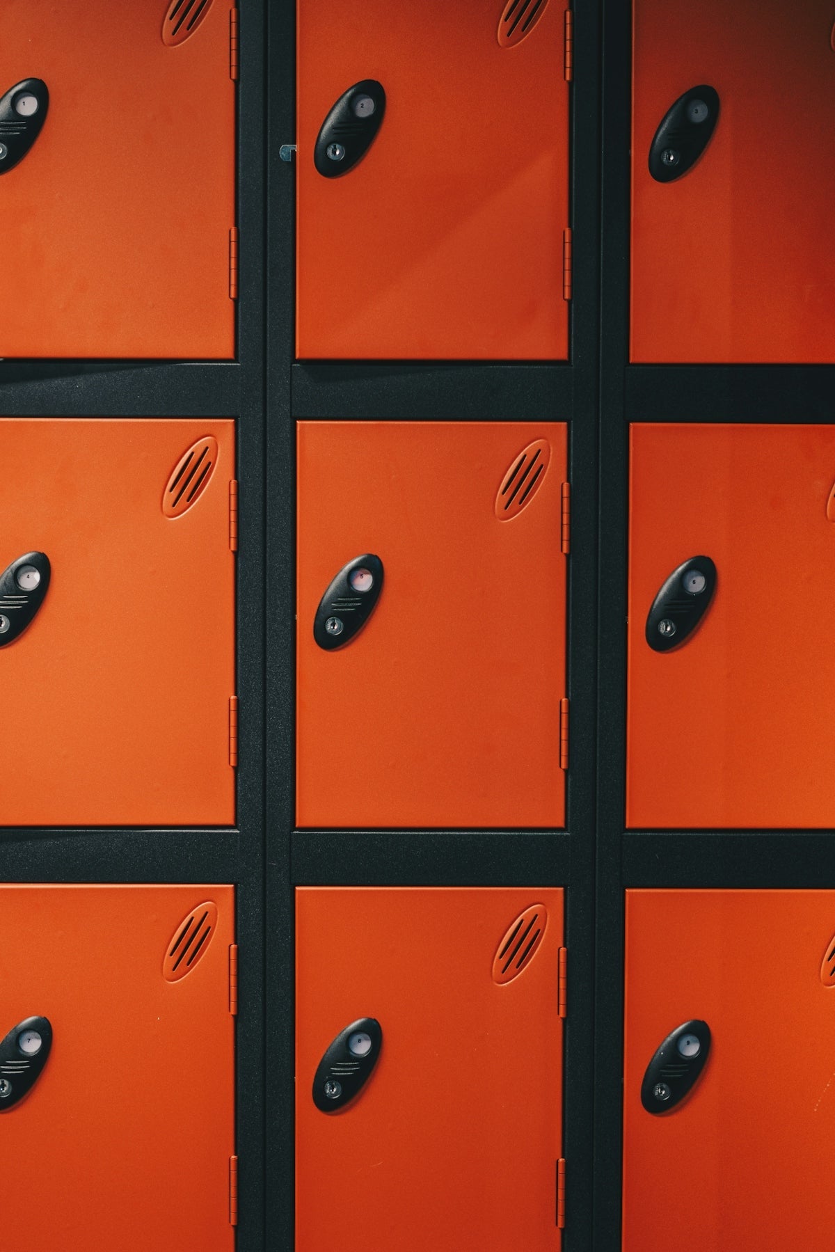 Unlock the Power of Organized Tool Storage with the Packout Compact 11 Bin System - WM Prints LLC