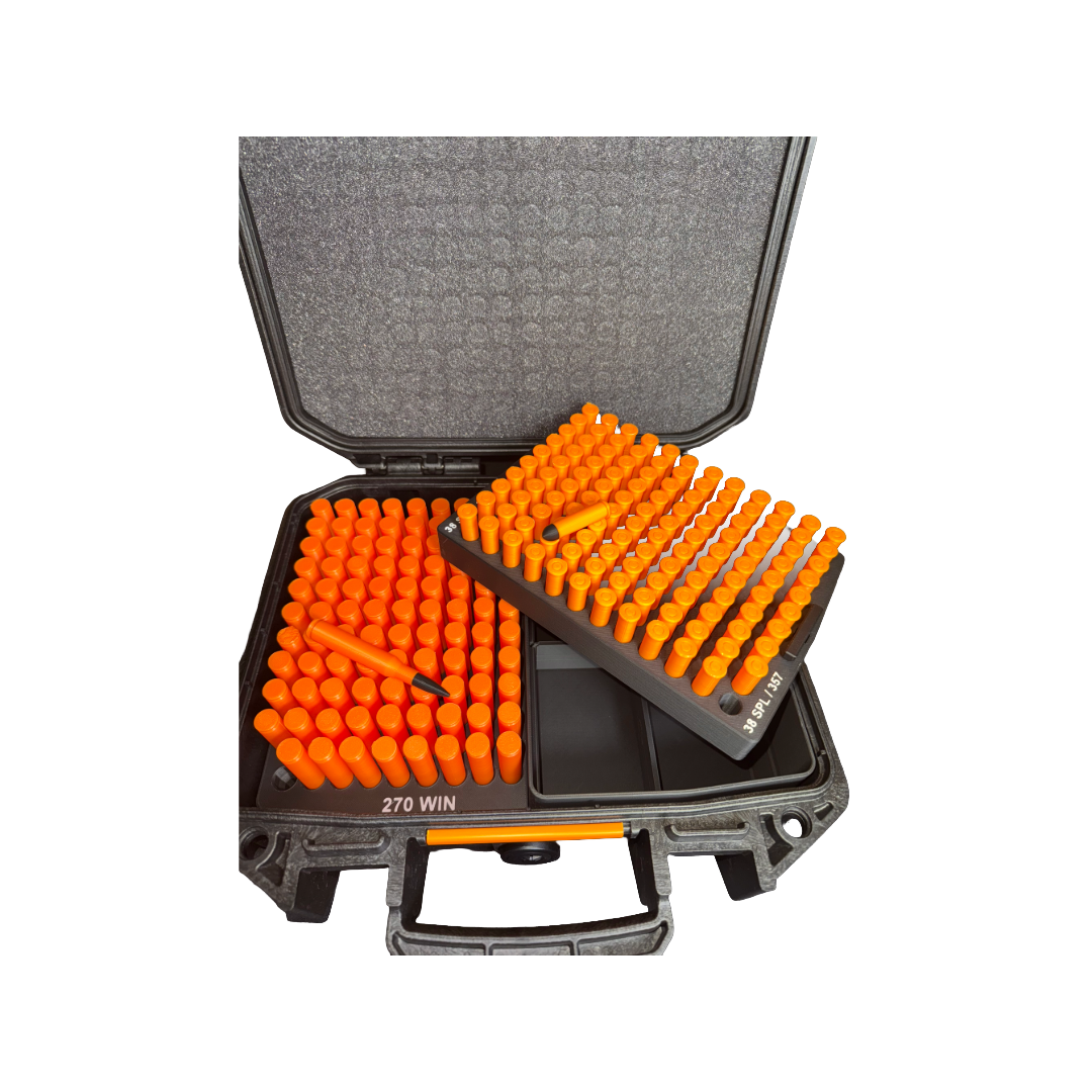 Pelican Vault ammo insert.