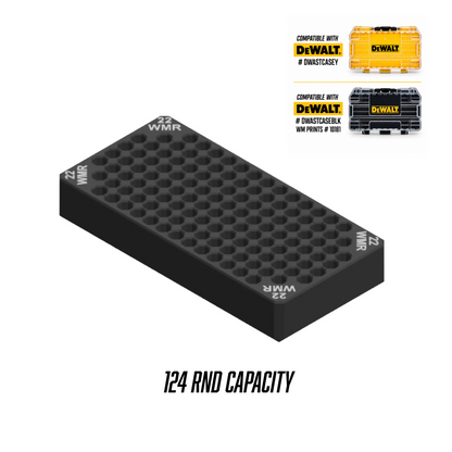 Dewalt tough case 22 wmr insert